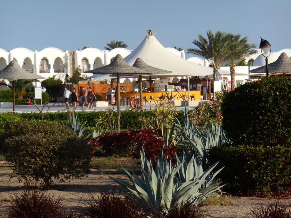 Poolbar Hotel Gorgonia Beach Resort