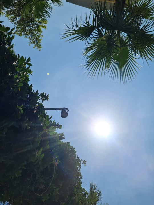 Gartenanlage Numa Bay Exclusive Hotel