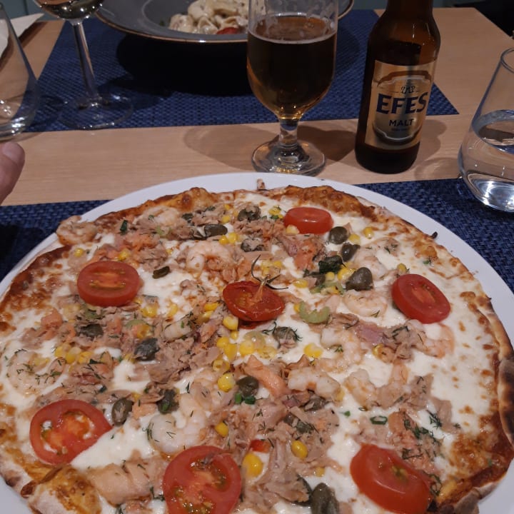 Gastro Acanthus Cennet Barut Collection