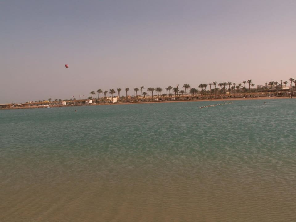 Widok z wody na plażę Pickalbatros Dana Beach Resort - Hurghada