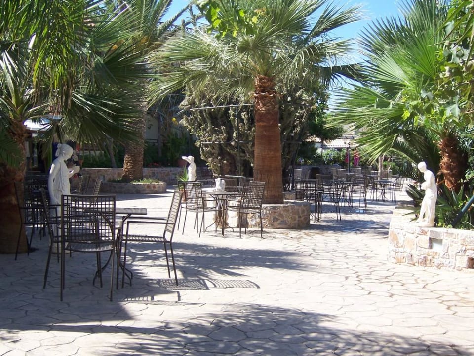 Garten des Hotels Cactus Beach