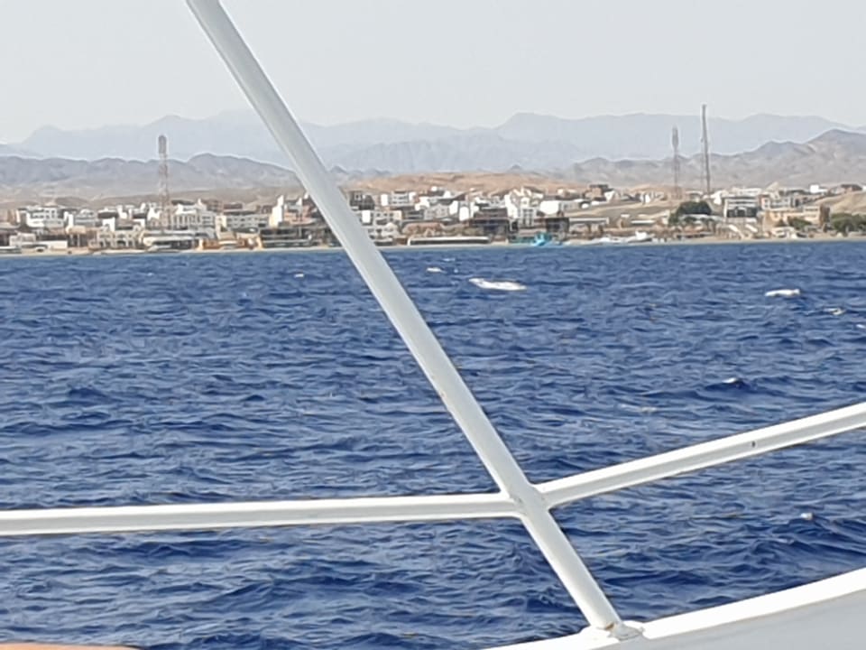 Ausblick Brayka Bay Resort