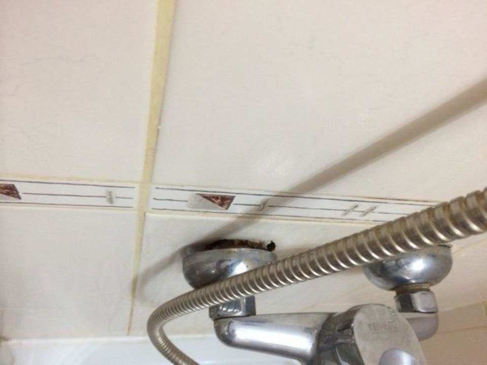 Garnitur guck aus der wand Petunya Beach Resort