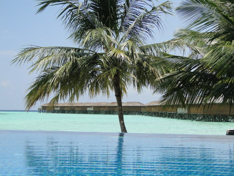 Pool Richtung Wasservillen Vilamendhoo Island Resort & Spa