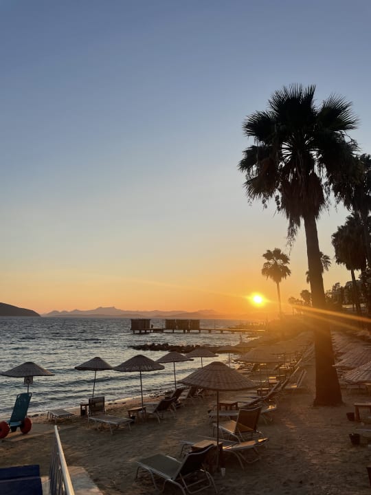 Strand TUI MAGIC LIFE Bodrum - Adult Only (16+)