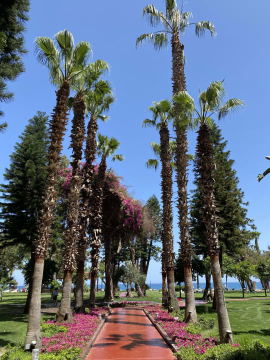 Gartenanlage TUI MAGIC LIFE Beldibi +16