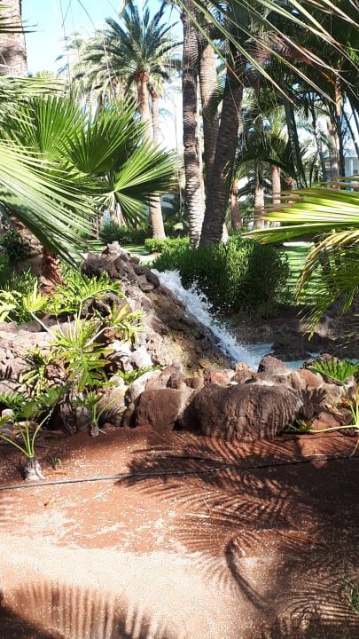 Gartenanlage Hotel Riu Palace Oasis