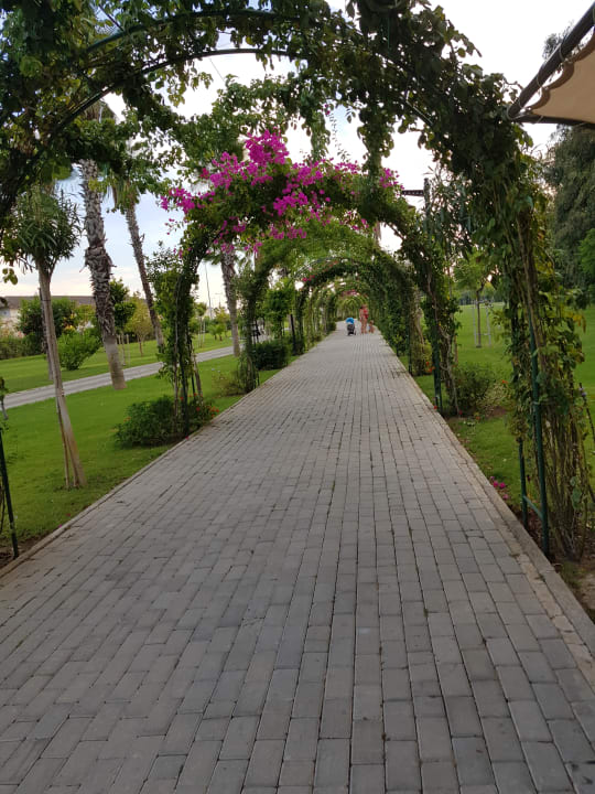 Gartenanlage Royal Seginus