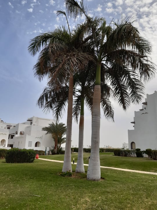 Außenansicht Hotel Mercure Hurghada