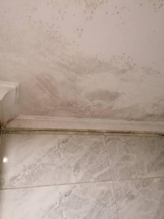 Zimmer Beyazit Palace Hotel & Spa