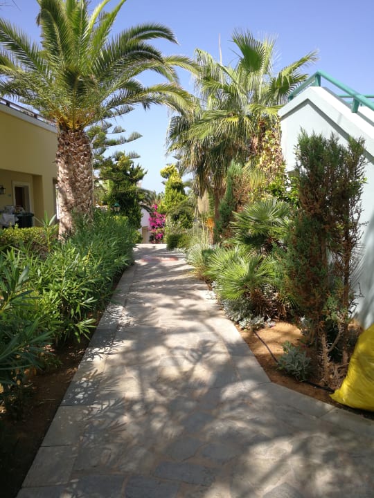 Gartenanlage Iberostar Selection Creta Marine