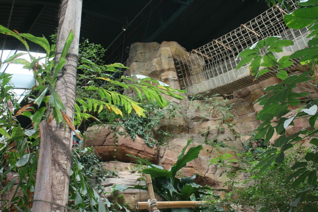 Discovery Bay Center Parcs De Vossemeren