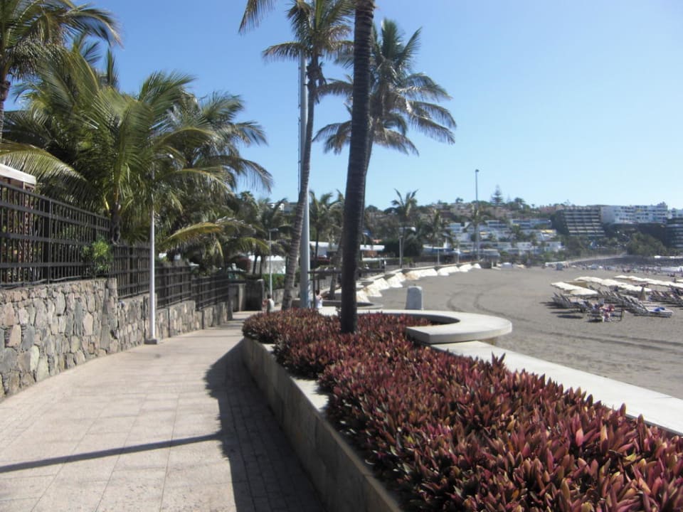 Hotel-Strand mit Promenade Bull Costa Canaria & Spa - Adults only