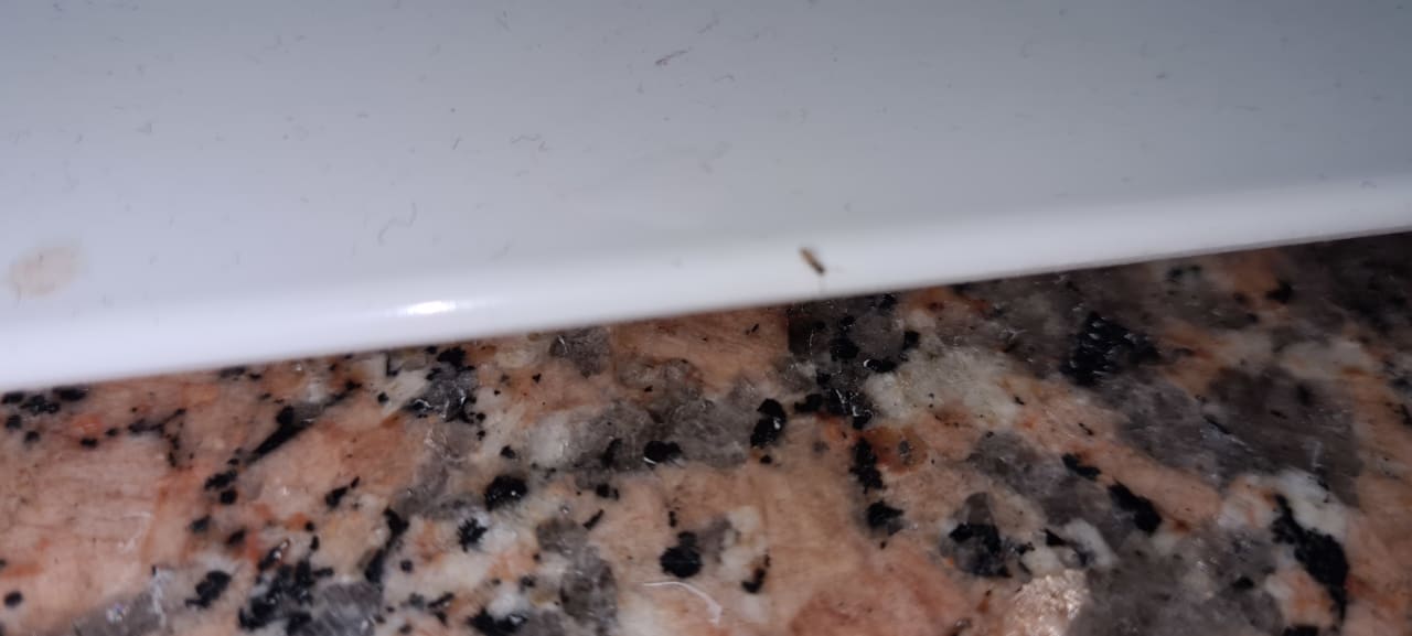 Zimmer HL Miraflor Suites Hotel