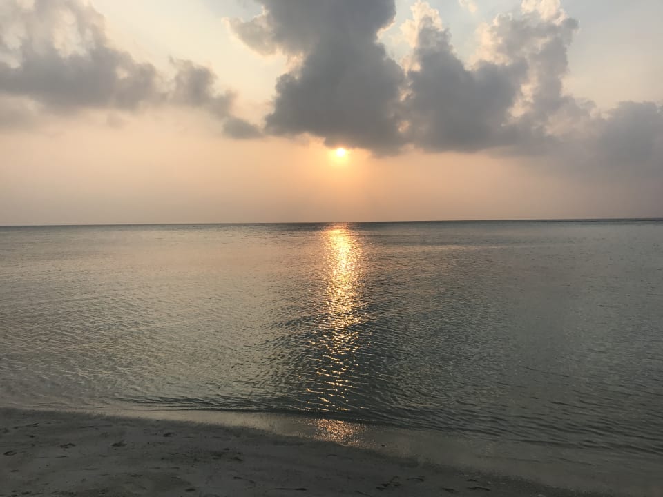 Strand Summer Island Maldives