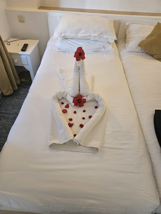 Zimmer Royal Karthago Djerba