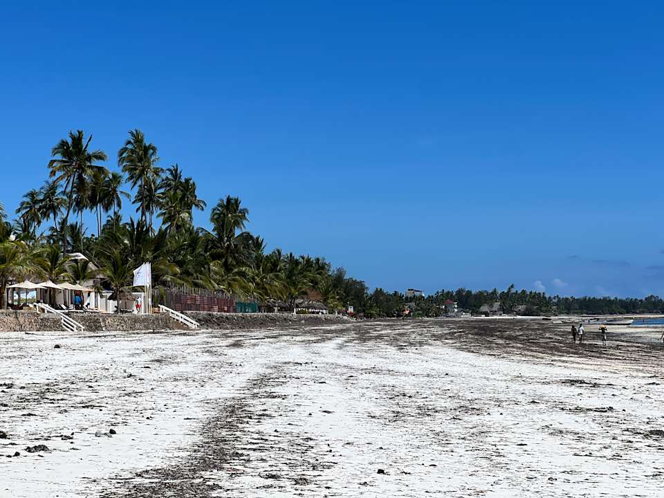 Strand Dream of Zanzibar