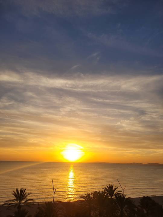 Zimmer allsun Hotel Pil-lari Playa