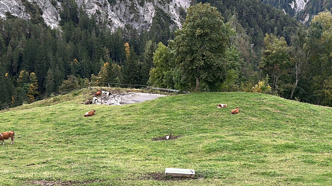 Ausblick Bergbauernhof Pension Irxner