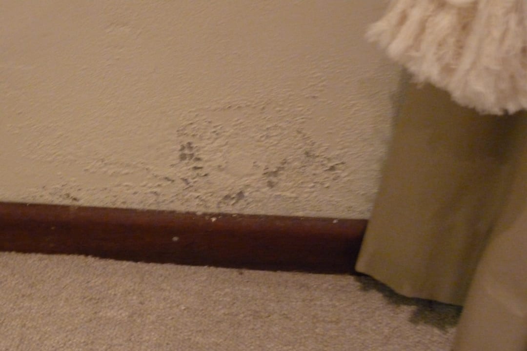 Feuchte Wände Guesthouse The Thorntree Country House