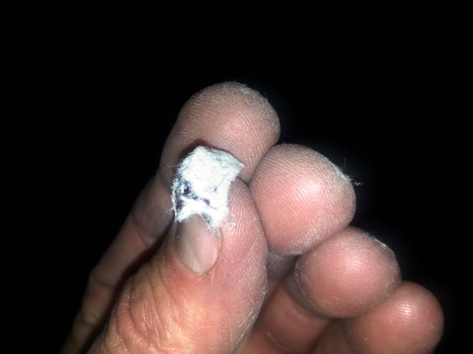 Staub pur wurde beseitigt Best Western Plus Palatin Kongresshotel