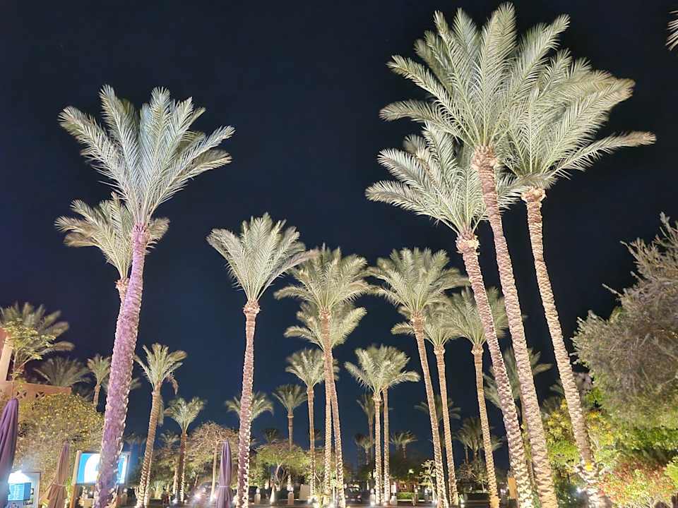 Gartenanlage Grand Waterworld Makadi & Family Star Makadi