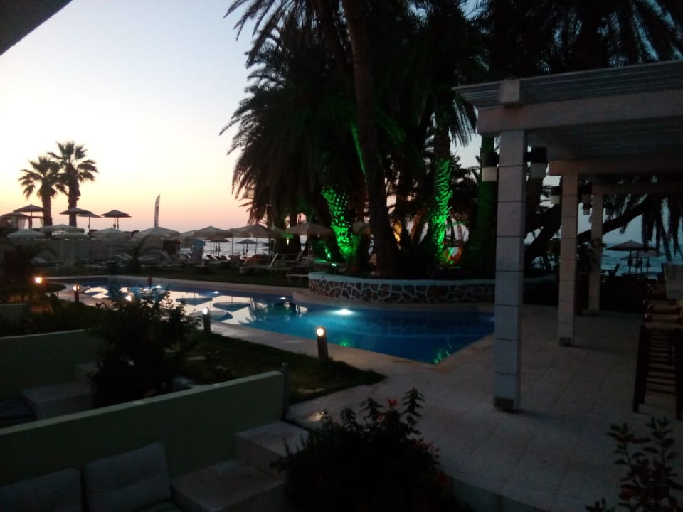 Pool Zeus Hotels Palm Beach