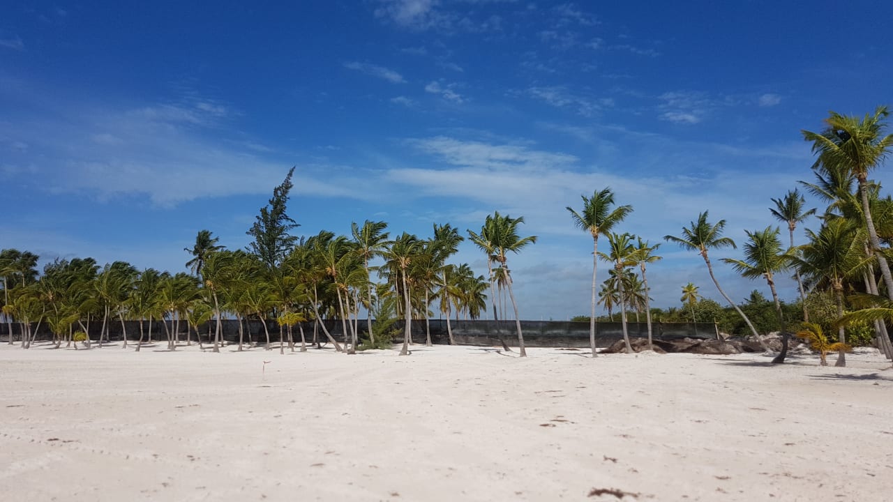 Strand Secrets Cap Cana Resort & Spa - Adults only