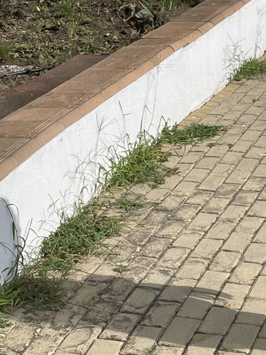 Sonstiges Duni Royal Resort - Marina Beach