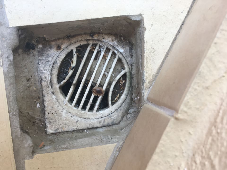 Zimmer Hotel Orfeus Park