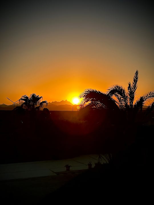Ausblick Hotel Coral Garden