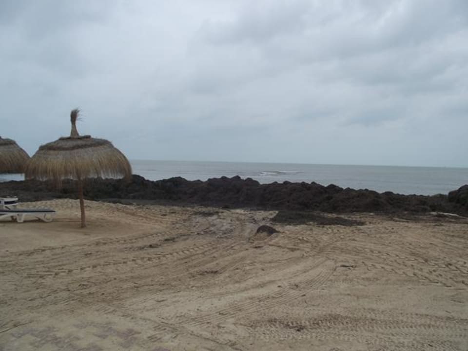 Noch mehr Seegras Hotel El Mouradi Djerba Menzel