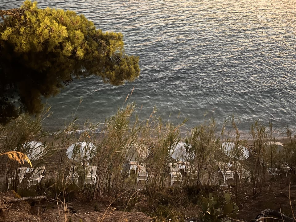 Strand Acrotel Athena Pallas