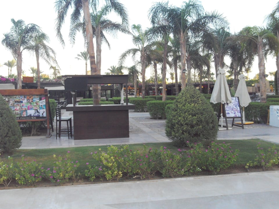 Flora Steigenberger ALDAU Beach Hotel