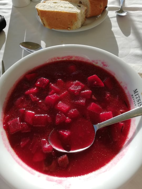Gastro Mitsis Family Village