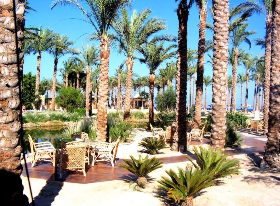Blick zum Meer Makadi Palace
