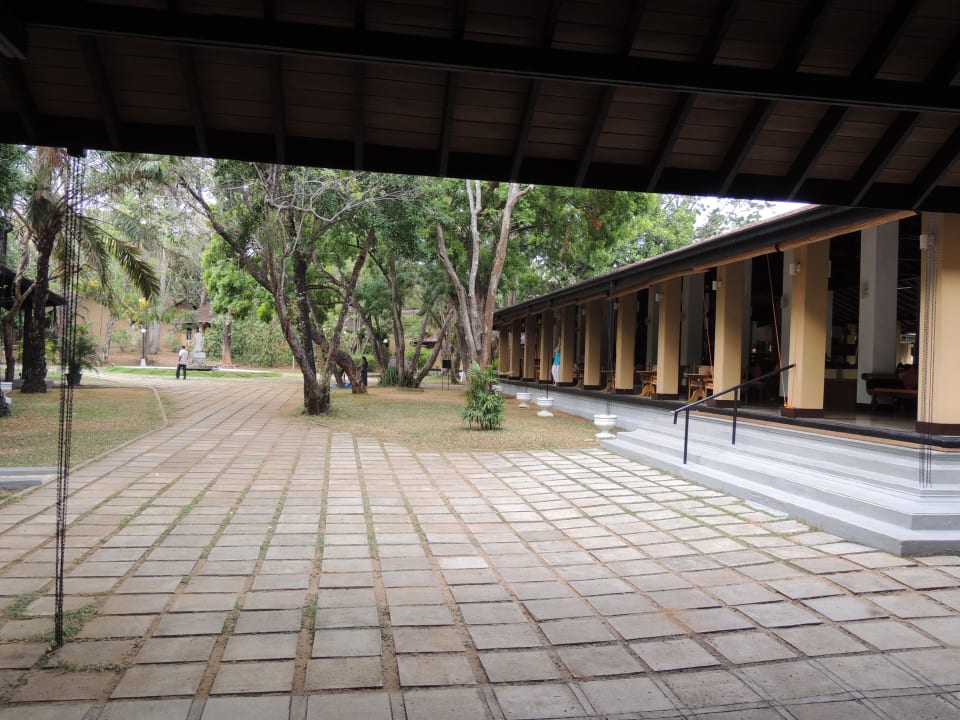 Blick zur Bar Habarana Village by Cinnamon