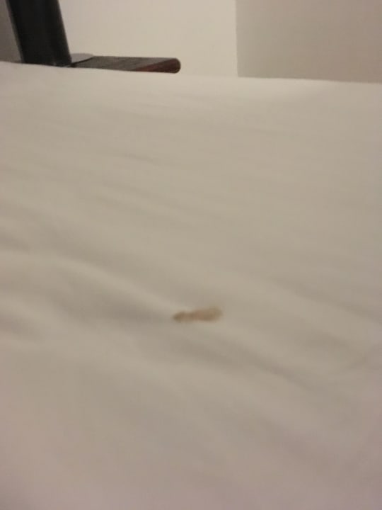 Zimmer Marlin Inn Azur Resort