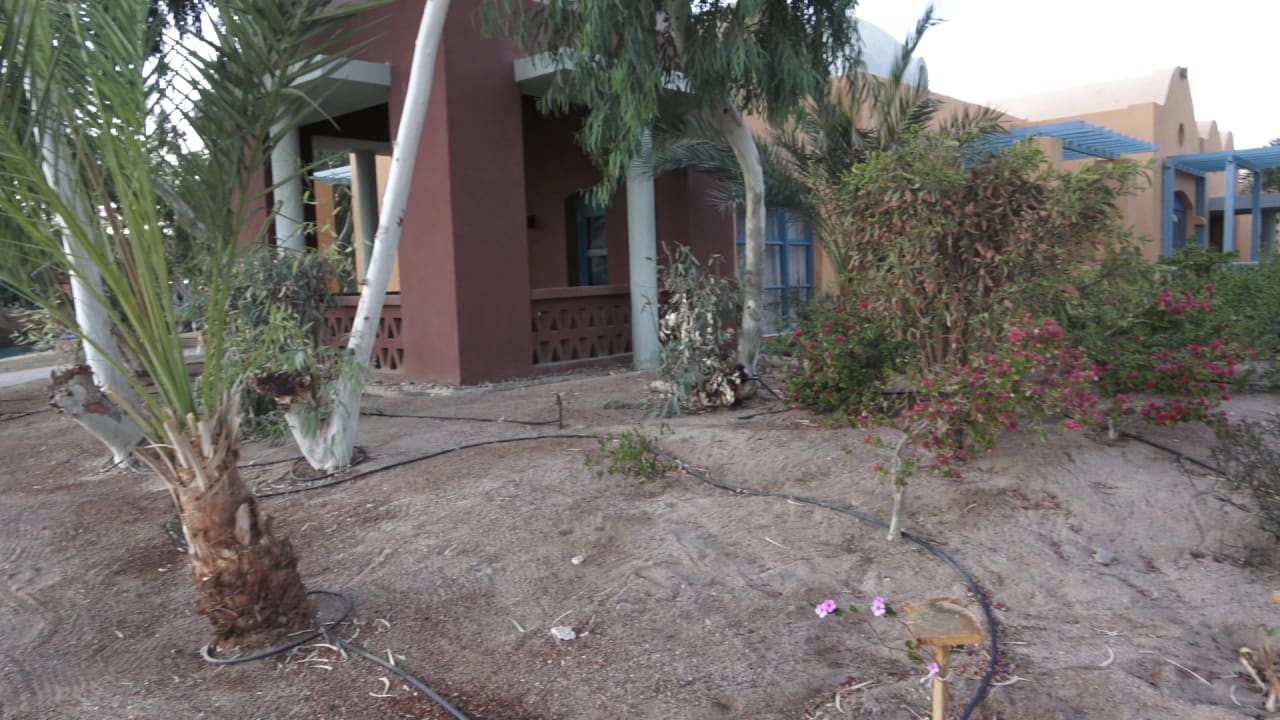 Gartenanlage Sheraton Miramar Resort El Gouna