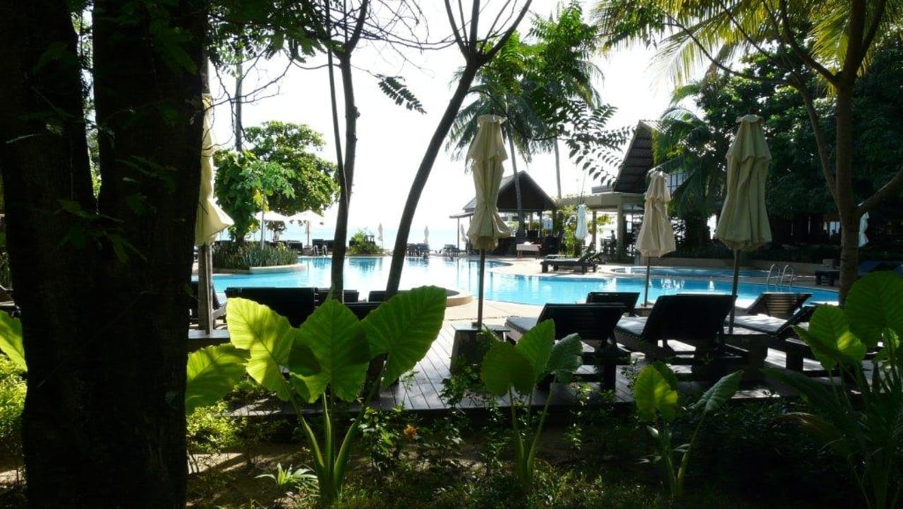 Blick zum Pool vom Weg aus NH Collection Samui Peace Resort