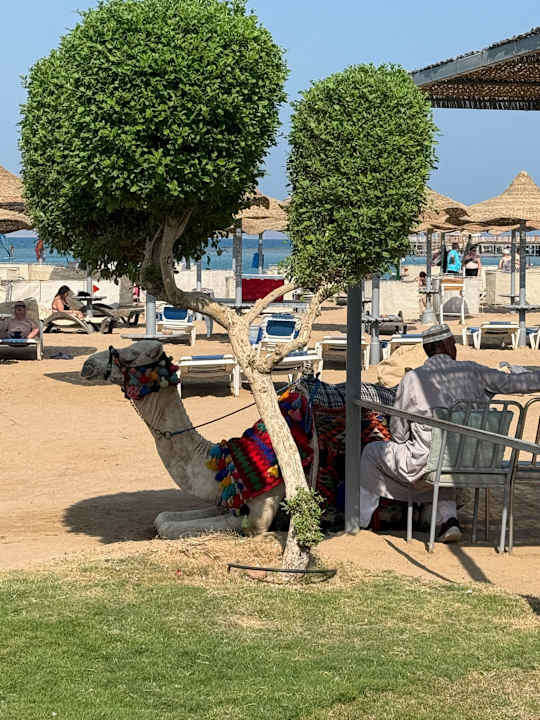 Strand SUNRISE Garden Beach Resort