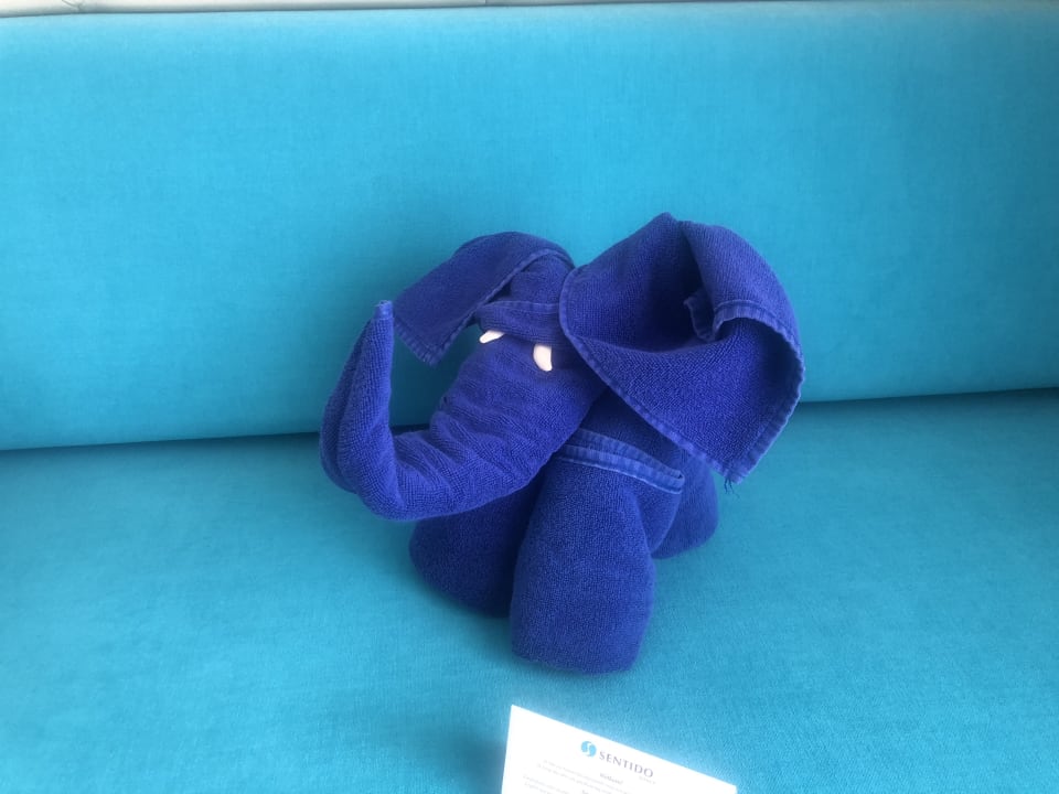 Zimmer Sentido Marea