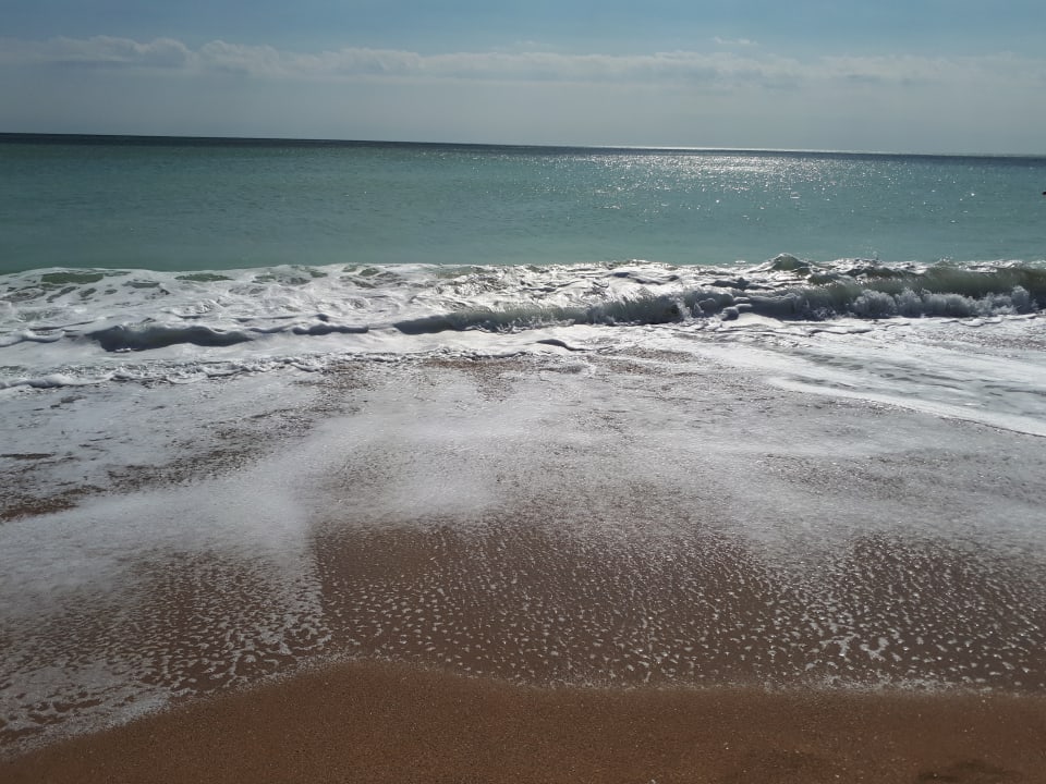 Strand Sentido Marea