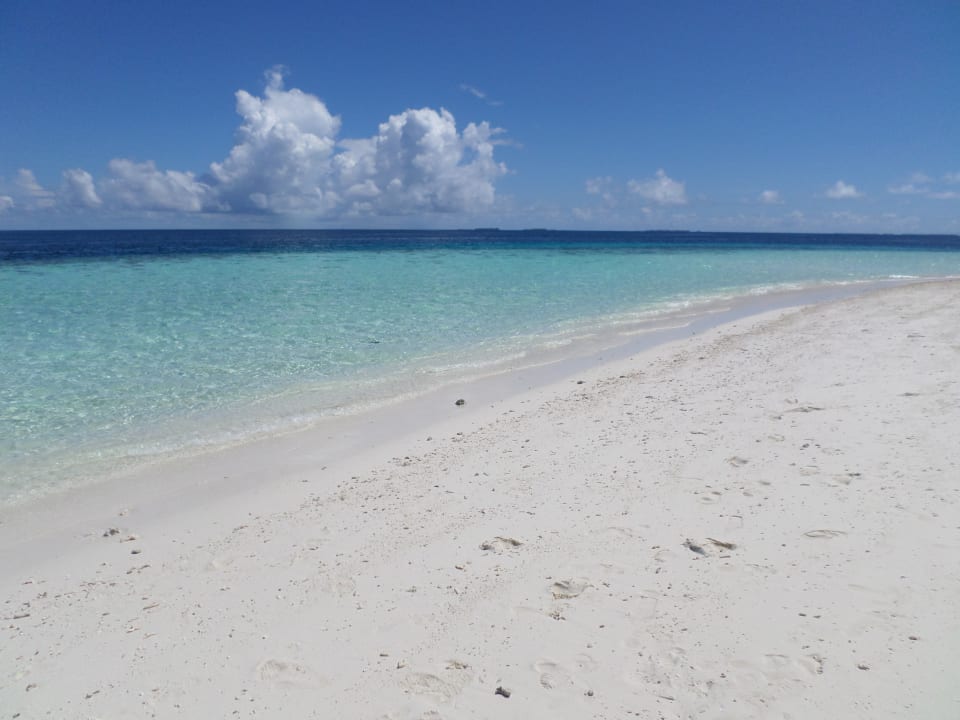 Strand Fihalhohi Maldives