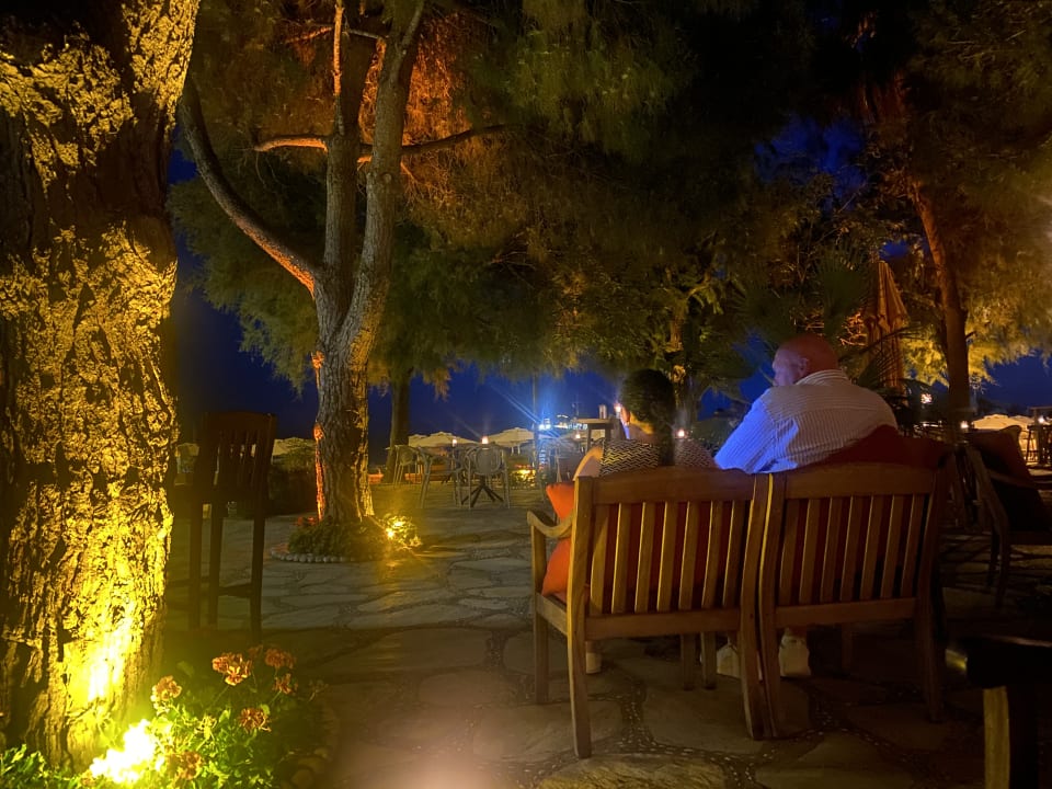 Strand Arum Barut Collection