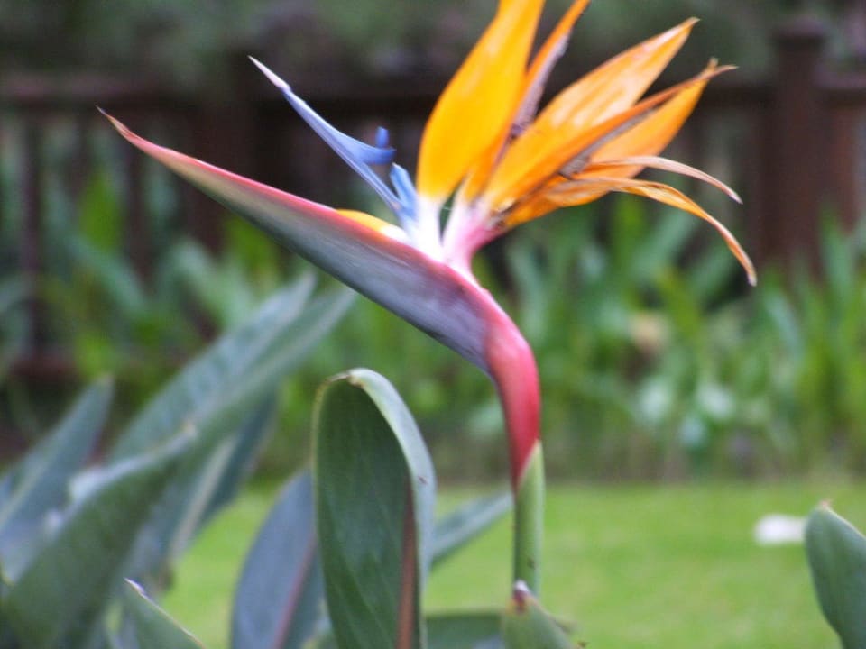 Einfach herrlich! Welch Augenweide! Voyage Belek Golf & Spa