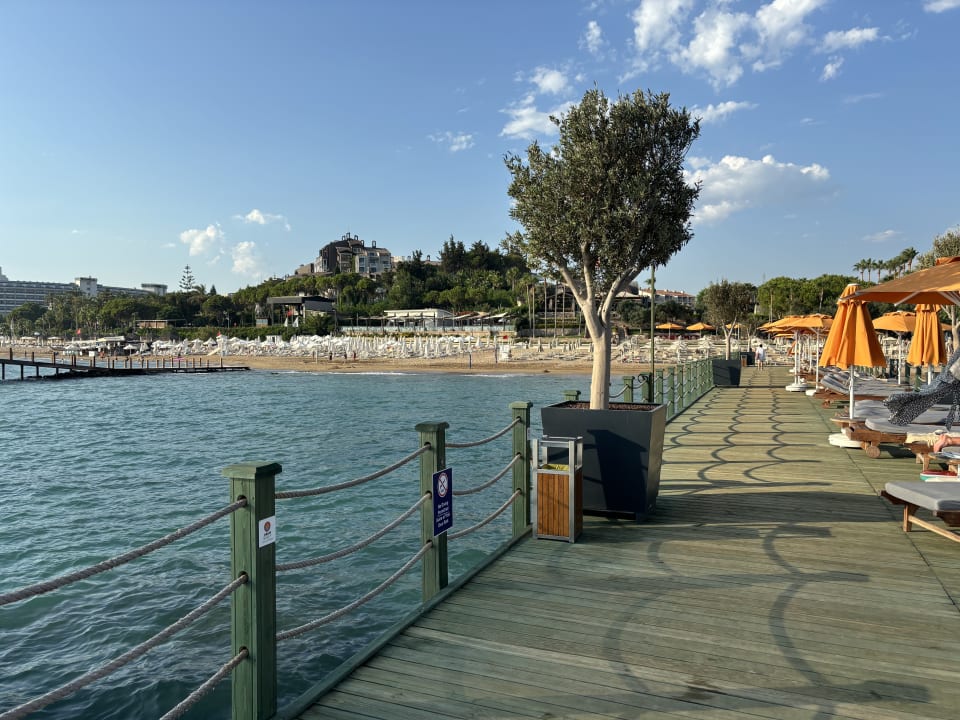 Strand Arum Barut Collection