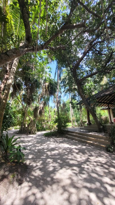 Gartenanlage Adaaran Select Meedhupparu Island Resort - Premium All Inclusive