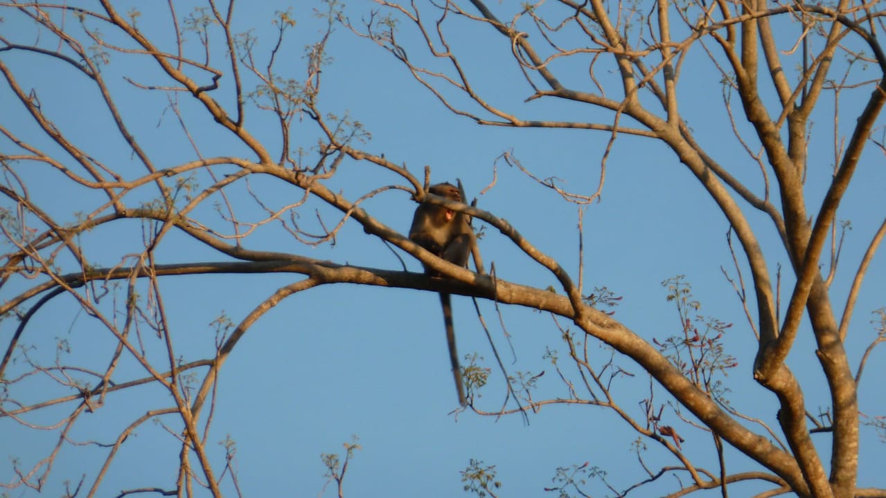 Besucher im Hotel Hotel Chaw Ka Cher Tropicana Lanta Resort