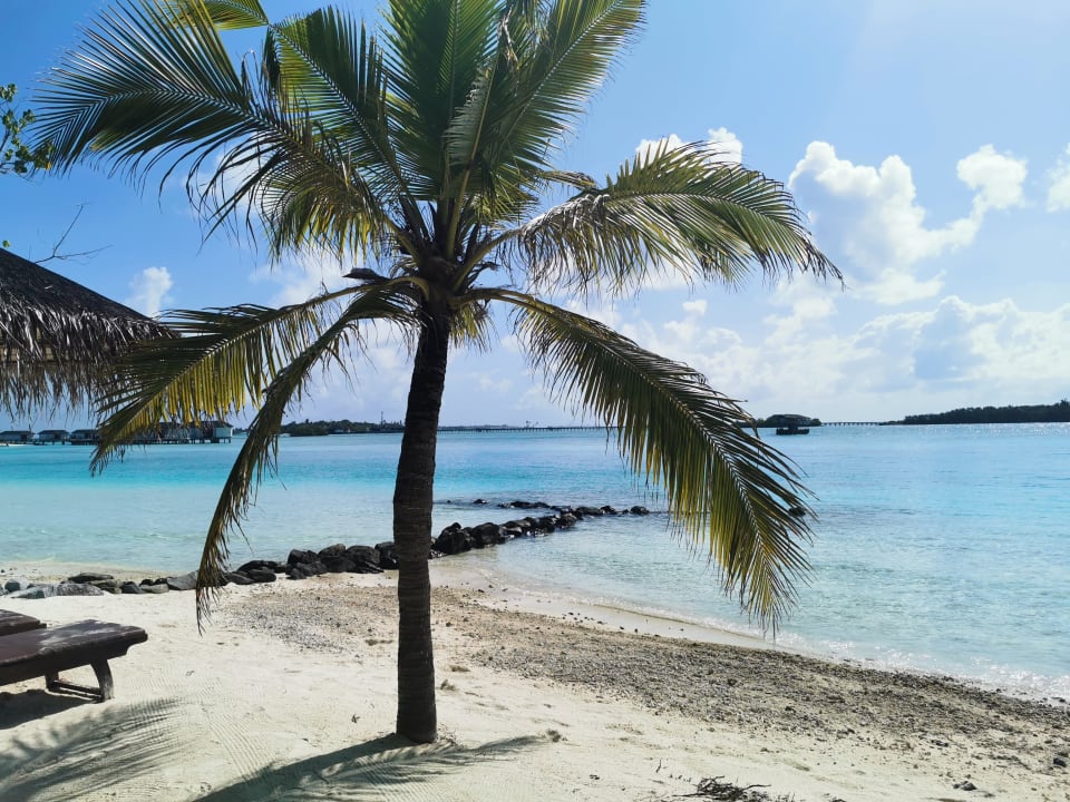 Strand Cinnamon Dhonveli Maldives